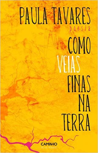 Foto do livro Ana Paula Tavares 